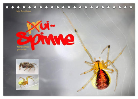 ui - Spinne. Kleine Spinnen - groß im Bild (Tischkalender 2026 DIN A5 quer), CALVENDO Monatskalender