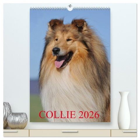 Collie 2026 (hochwertiger Premium Wandkalender 2026 DIN A2 hoch), Kunstdruck in Hochglanz