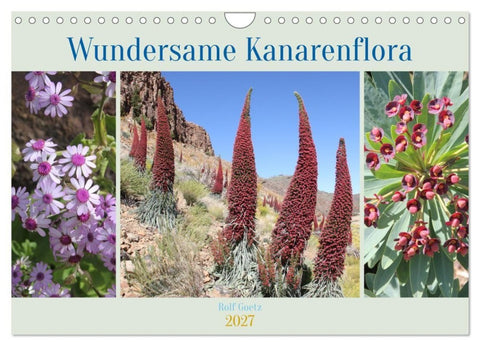 Wundersame Kanarenflora (Wandkalender 2027 DIN A4 quer), CALVENDO Monatskalender
