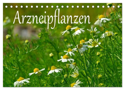 Arzneipflanzen (Tischkalender 2026 DIN A5 quer), CALVENDO Monatskalender