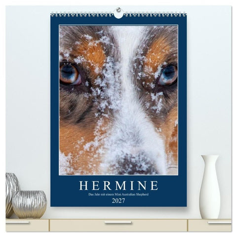 Hermine - Ein Jahr mit einem Mini Australian Shepherd (hochwertiger Premium Wandkalender 2027 DIN A2 hoch), Kunstdruck in Hochglanz