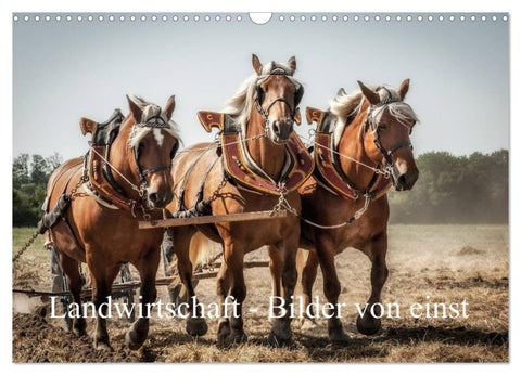 Landwirtschaft - Bilder von einst (Wandkalender 2027 DIN A3 quer), CALVENDO Monatskalender