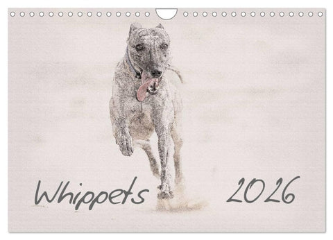 Whippet 2026 (Wandkalender 2026 DIN A4 quer), CALVENDO Monatskalender