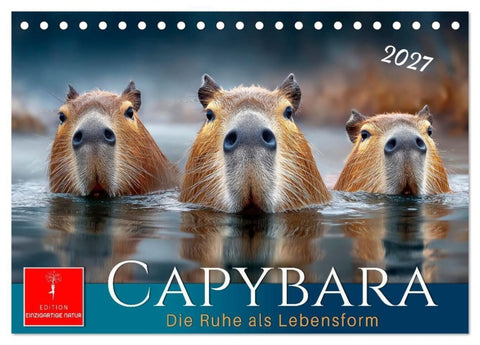 Capybara - die Ruhe als Lebensform (Tischkalender 2027 DIN A5 quer), CALVENDO Monatskalender