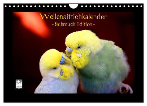 Wellensittichkalender - Schmuck Edition (Wandkalender 2027 DIN A4 quer), CALVENDO Monatskalender