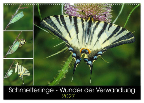 Schmetterlinge - Wunder der Verwandlung (Wandkalender 2027 DIN A2 quer), CALVENDO Monatskalender