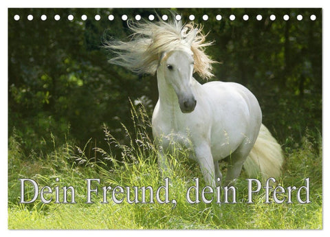Dein Freund, dein Pferd (Tischkalender 2026 DIN A5 quer), CALVENDO Monatskalender