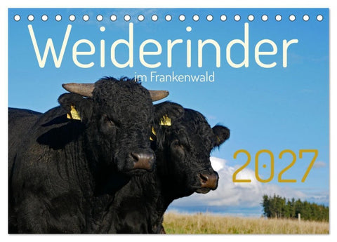 Weiderinder im Frankenwald (Tischkalender 2027 DIN A5 quer), CALVENDO Monatskalender