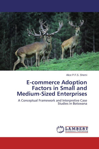 E-commerce Adoption Factors in Small and Medium-Sized Enterprises