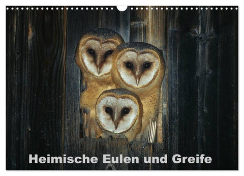 Heimische Eulen und Greife (Wandkalender 2027 DIN A3 quer), CALVENDO Monatskalender