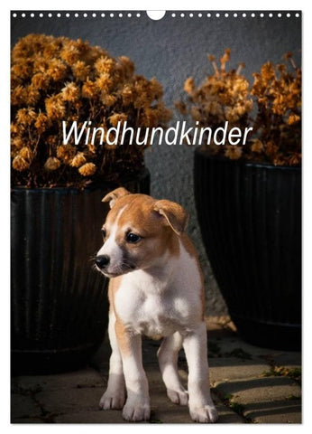 Windhundkinder (Wandkalender 2027 DIN A3 hoch), CALVENDO Monatskalender