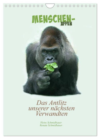 Menschenaffen - Das Antlitz unserer nächsten Verwandten (Wandkalender 2027 DIN A4 hoch), CALVENDO Monatskalender
