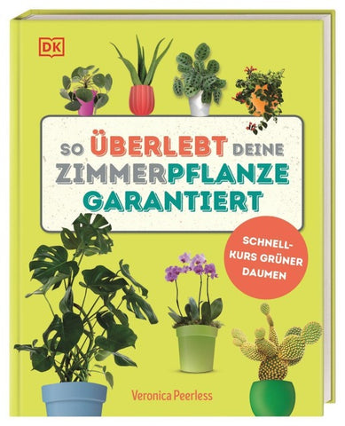So überlebt deine Zimmerpflanze garantiert