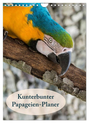 Kunterbunter Papageien-Planer (Wandkalender 2027 DIN A4 hoch), CALVENDO Monatskalender