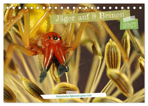 Jäger auf acht Beinen (Tischkalender 2027 DIN A5 quer), CALVENDO Monatskalender