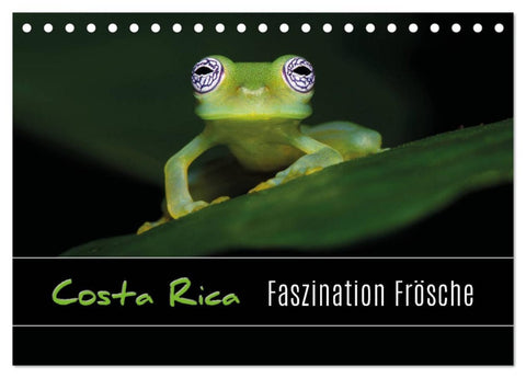 Costa Rica - Faszination Frösche (Tischkalender 2026 DIN A5 quer), CALVENDO Monatskalender