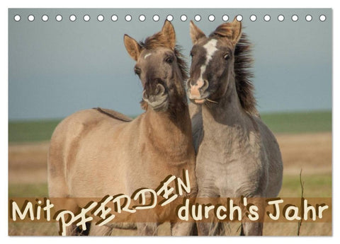 Mit Pferden durch´s Jahr (Tischkalender 2026 DIN A5 quer), CALVENDO Monatskalender