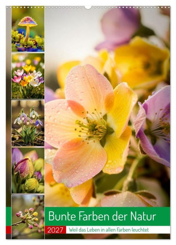 Bunte Farben der Natur (Wandkalender 2027 DIN A2 hoch), CALVENDO Monatskalender