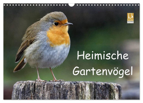 Heimische Gartenvögel (Wandkalender 2027 DIN A3 quer), CALVENDO Monatskalender
