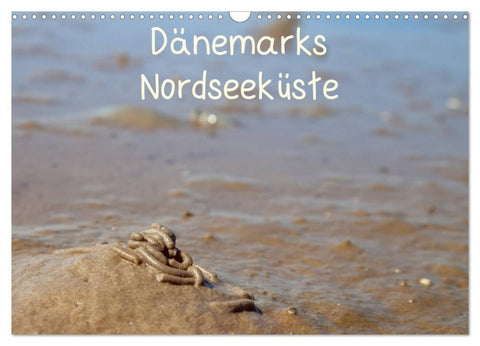 Dänemarks Nordseeküste (Wandkalender 2026 DIN A3 quer), CALVENDO Monatskalender