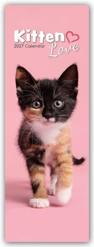 Kitten Love – Geliebte Kätzchen – Slimline-Kalender 2027