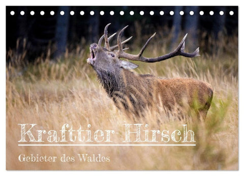 Krafttier Hirsch (Tischkalender 2027 DIN A5 quer), CALVENDO Monatskalender