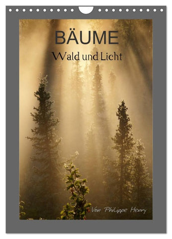 BÄUME (Wandkalender 2026 DIN A4 hoch), CALVENDO Monatskalender