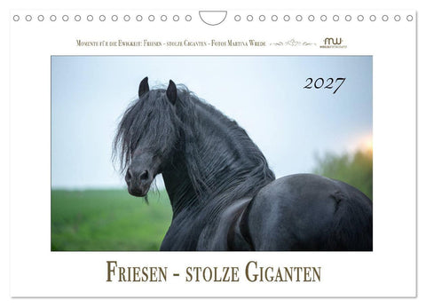 Friesen - stolze Giganten (Wandkalender 2027 DIN A4 quer), CALVENDO Monatskalender