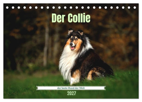 Der Collie der beste Hund der Welt (Tischkalender 2027 DIN A5 quer), CALVENDO Monatskalender