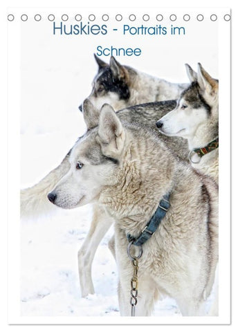 Huskies - Portraits im Schnee (Tischkalender 2027 DIN A5 hoch), CALVENDO Monatskalender