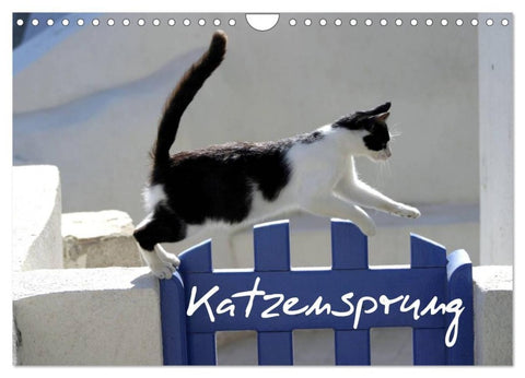 Katzensprung (Wandkalender 2027 DIN A4 quer), CALVENDO Monatskalender
