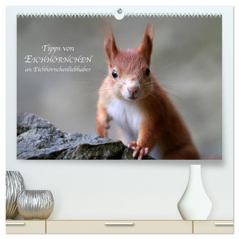 Tipps von Eichhörnchen an Eichhörnchenliebhaber (hochwertiger Premium Wandkalender 2026 DIN A2 quer), Kunstdruck in Hochglanz