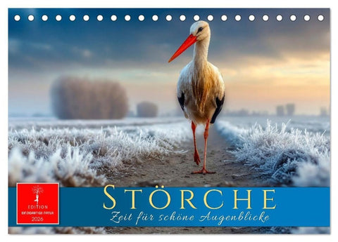 Störche - Zeit für schöne Augenblicke (Tischkalender 2026 DIN A5 quer), CALVENDO Monatskalender