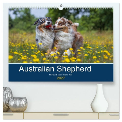Australian Shepherd 2027 (hochwertiger Premium Wandkalender 2027 DIN A2 quer), Kunstdruck in Hochglanz