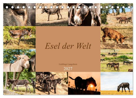 Esel der Welt - Lieblings Langohren (Tischkalender 2027 DIN A5 quer), CALVENDO Monatskalender