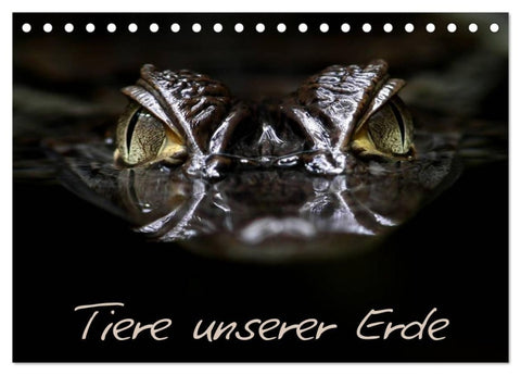 Tiere unserer Erde (Tischkalender 2027 DIN A5 quer), CALVENDO Monatskalender