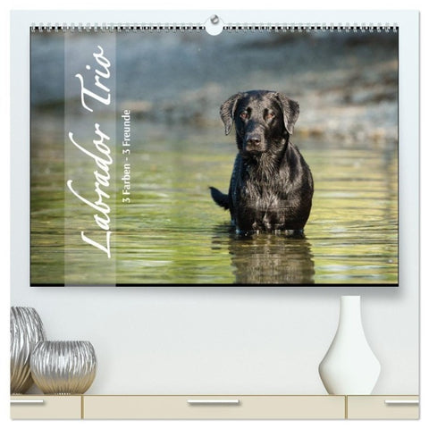 Labrador Trio - 3 Farben, 3 Freunde (hochwertiger Premium Wandkalender 2027 DIN A2 quer), Kunstdruck in Hochglanz