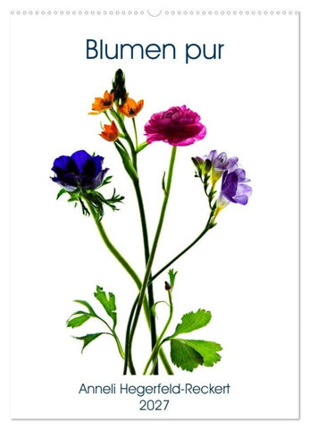 Blumen pur (Wandkalender 2027 DIN A2 hoch), CALVENDO Monatskalender