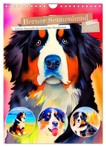 Berner Sennenhund 2027. Schöne Aquarelle der schweizer Hunderasse (Wandkalender 2027 DIN A4 hoch), CALVENDO Monatskalender