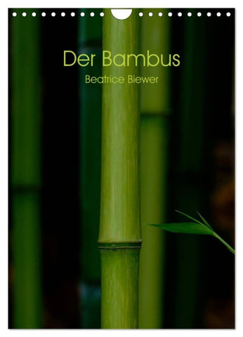 Der Bambus (Wandkalender 2026 DIN A4 hoch), CALVENDO Monatskalender