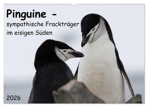 Pinguine - sympathische Frackträger im eisigen Süden (Wandkalender 2026 DIN A2 quer), CALVENDO Monatskalender