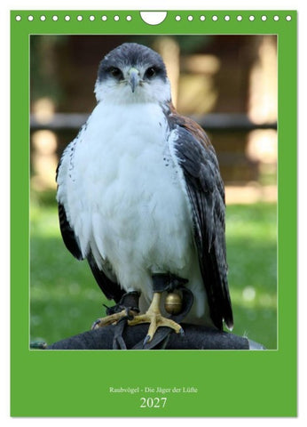 Raubvögel - Die Jäger der Lüfte (Wandkalender 2027 DIN A4 hoch), CALVENDO Monatskalender