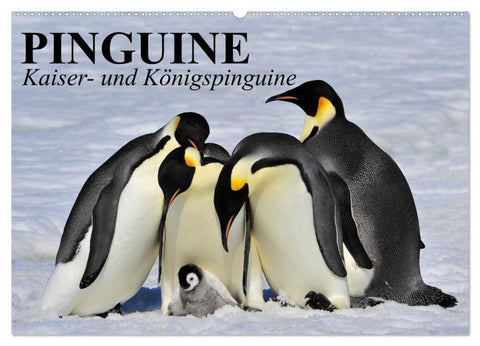 Pinguine - Kaiser- und Königspinguine (Wandkalender 2027 DIN A2 quer), CALVENDO Monatskalender