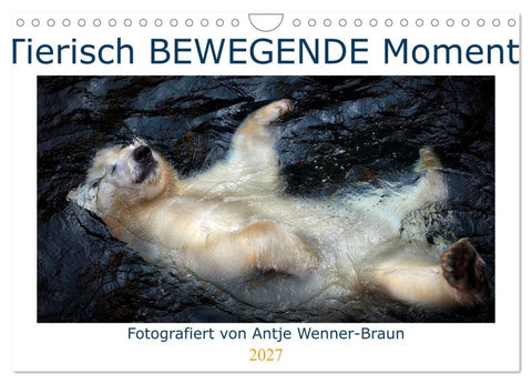 Tierisch BEWEGENDE Momente (Wandkalender 2027 DIN A4 quer), CALVENDO Monatskalender