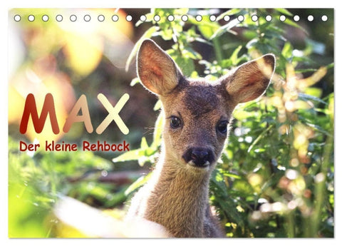 Max, der kleine Rehbock (Tischkalender 2027 DIN A5 quer), CALVENDO Monatskalender