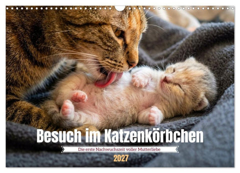 Besuch im Katzenkörbchen (Wandkalender 2027 DIN A3 quer), CALVENDO Monatskalender