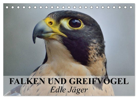 Falken und Greifvögel. Edle Jäger (Tischkalender 2026 DIN A5 quer), CALVENDO Monatskalender