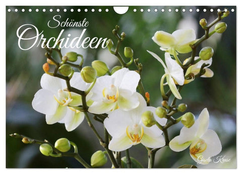 Schönste Orchideen (Wandkalender 2027 DIN A4 quer), CALVENDO Monatskalender