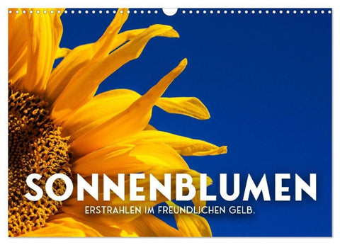 Sonnenblumen - Erstrahlen im freundlichen Gelb. (Wandkalender 2027 DIN A3 quer), CALVENDO Monatskalender