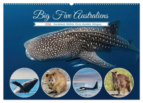 Big Five Australiens Buckelwal, Walhai, Orca, Quokka,Känguru (Wandkalender 2026 DIN A2 quer), CALVENDO Monatskalender